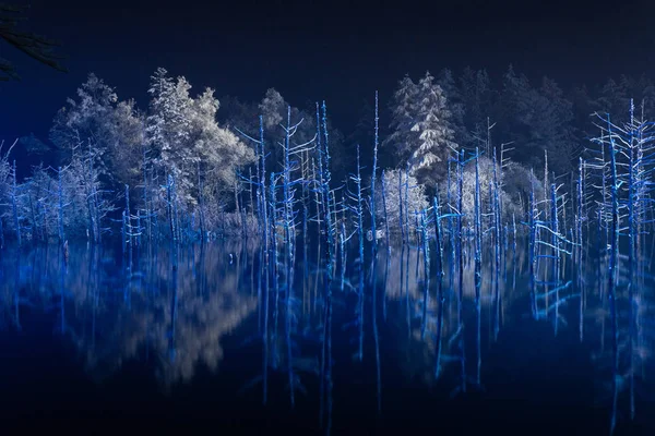 Blauer Teich Der Nacht — Stockfoto