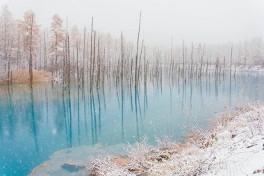 Kışın mavi gölet