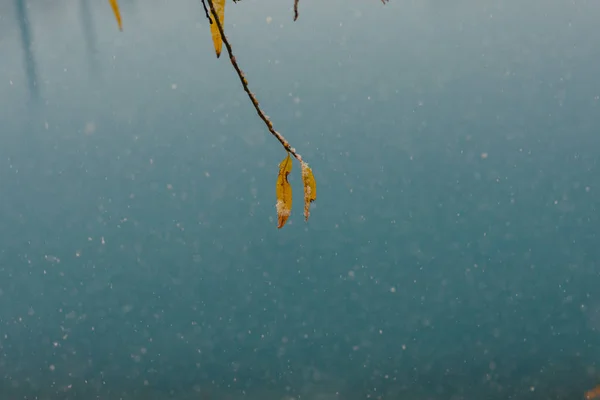 Estanque Azul Invierno —  Fotos de Stock