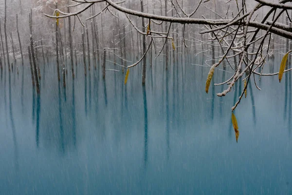 Μπλε Λίμνη Χειμώνα — Φωτογραφία Αρχείου