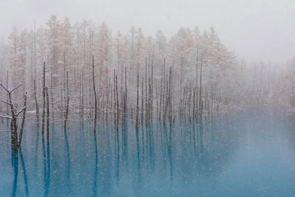 Μπλε Λίμνη Χειμώνα — Φωτογραφία Αρχείου