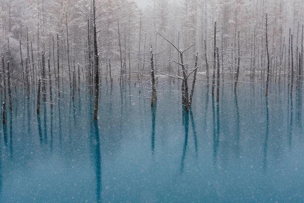 Lagoa Azul Inverno — Fotografia de Stock