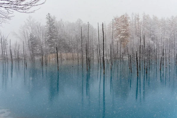 Estanque Azul Invierno —  Fotos de Stock