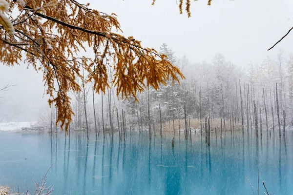 Estanque Azul Invierno —  Fotos de Stock