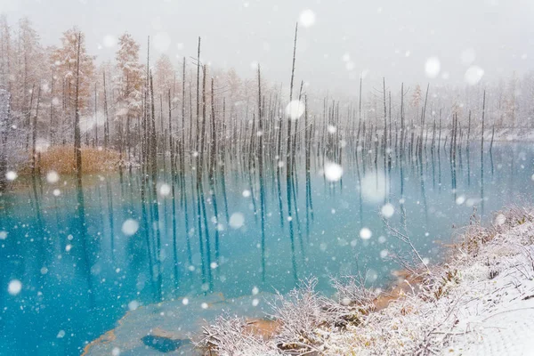 Estanque Azul Invierno —  Fotos de Stock