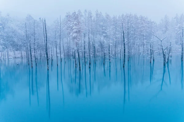 Estanque Azul Invierno —  Fotos de Stock