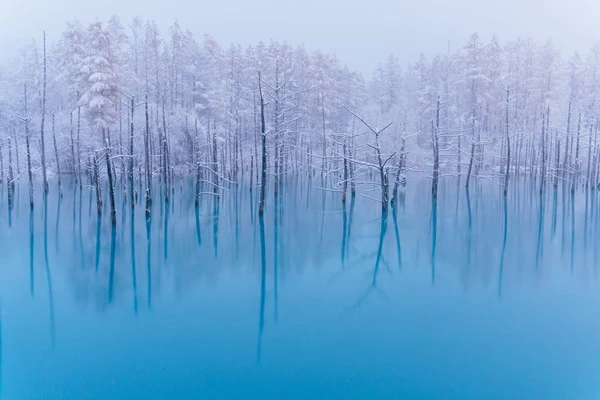 Stagno Blu Inverno — Foto Stock