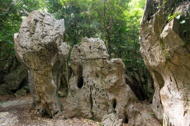 Taisekirinzan Okinawa Japonya 'da