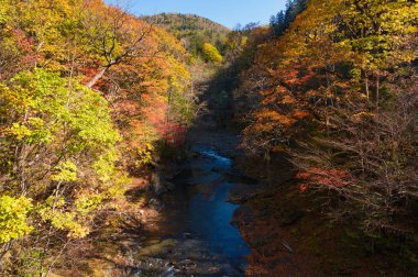 tomuraushi sonbaharda hokkaido