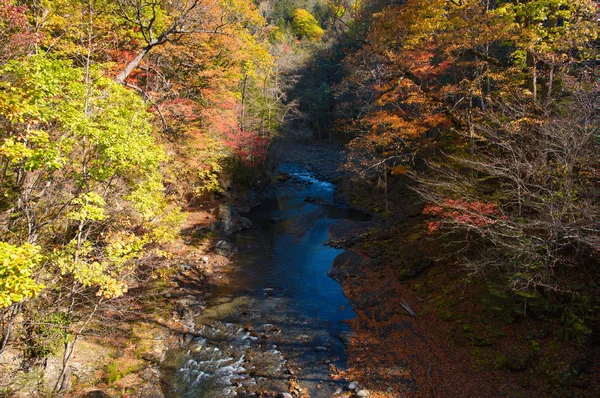 Tomuraushi Φθινόπωρο Hokkaido — Φωτογραφία Αρχείου