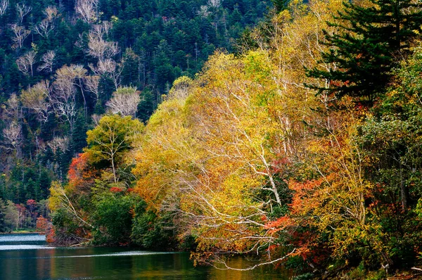 Lac Shikaribetu Automne Hokkaido — Photo