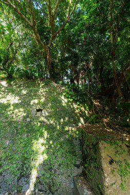 Okinawa 'daki Nakano Nehri kalıntıları.