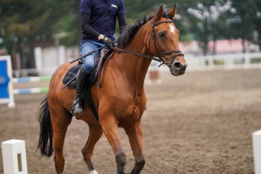 Japonya 'da Binicilik yarışması uygulaması