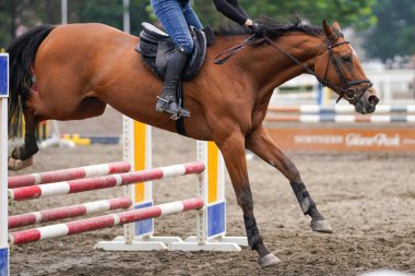 Japonya 'da Binicilik yarışması uygulaması