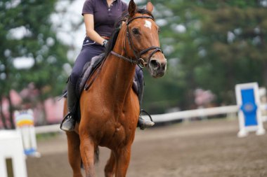 Japonya 'da Binicilik yarışması uygulaması