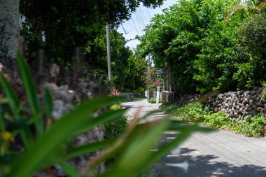 Okinawa 'daki Hateruma Adası' nda.