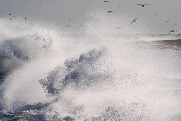 Tormenta Invierno Hokkaido Japón — Foto de Stock