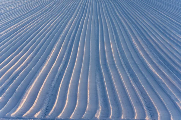 Linha Campo Inverno Hokkaido — Fotografia de Stock