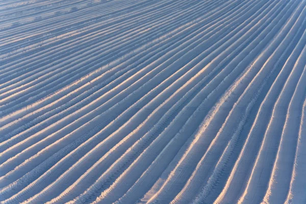 Ligne Champ Hiver Hokkaido — Photo