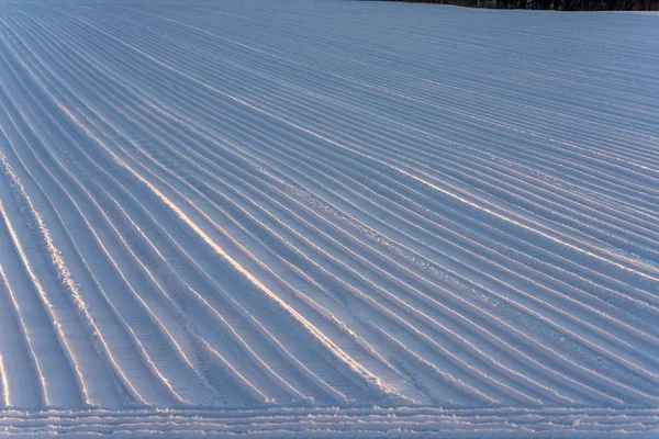 Winter Field Line Hokkaido — Stock Photo, Image