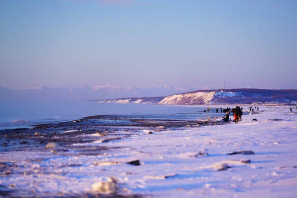 Šperky Led Zimě Hokkaido — Stock fotografie