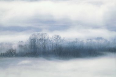 frost smoke in winter hokkaido