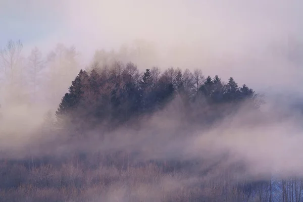 Frost Smoke Winter Hokkaido — Stock Photo, Image