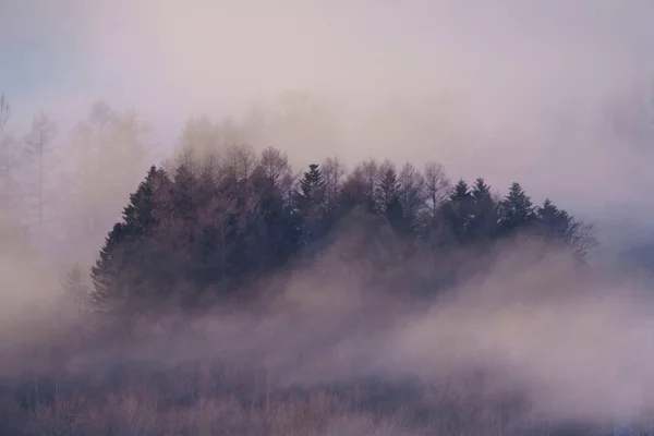 Зимний Холодный Дым Хоккайдо — стоковое фото