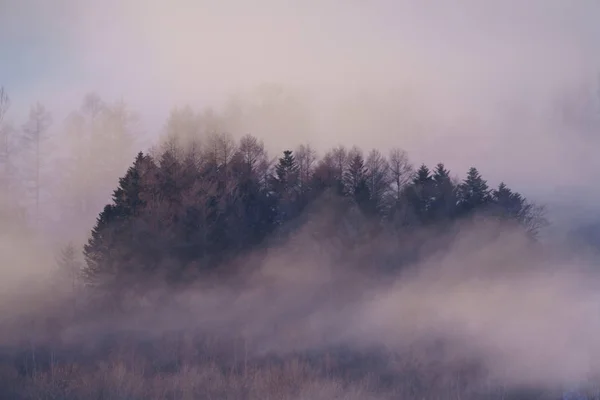 Humo Las Heladas Invierno Hokkaido — Foto de Stock