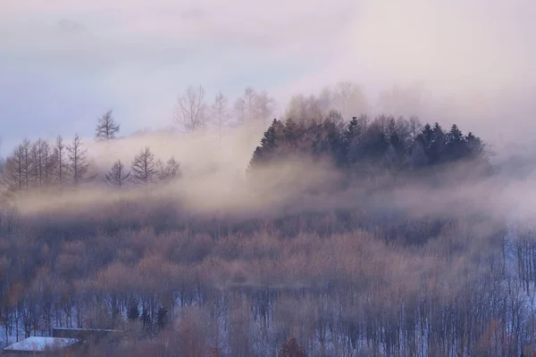 Frost Smoke Winter Hokkaido — Stock Photo, Image