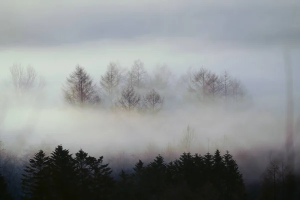 Frost Smoke Winter Hokkaido — Stok fotoğraf