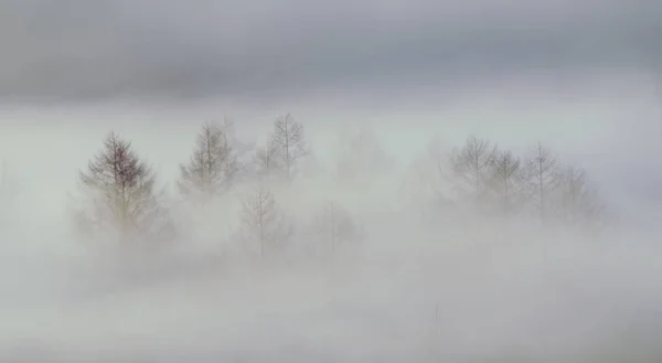 Frost Smoke Winter Hokkaido — ストック写真