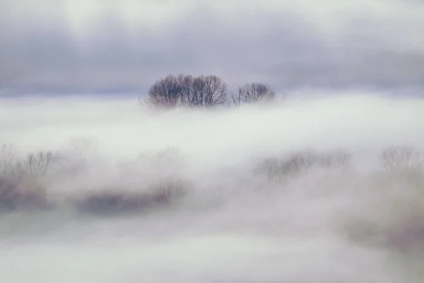 Frost Smoke Winter Hokkaido — Stock Photo, Image