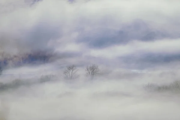 Frost Smoke Winter Hokkaido — Stock Photo, Image