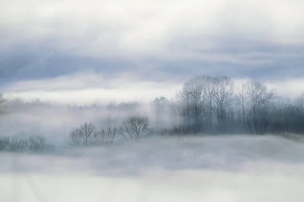 Frost Smoke Winter Hokkaido — 图库照片