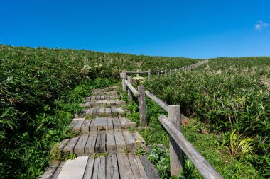 Hokkaido 'daki Kamui Burnu manzarası