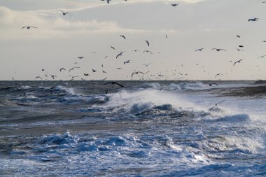 Kışın yüksek dalgalar hokkaido