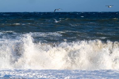Kışın yüksek dalgalar hokkaido