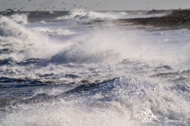 Kışın yüksek dalgalar hokkaido