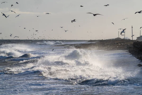 Olas Altas Invierno Hokkaido — Foto de Stock