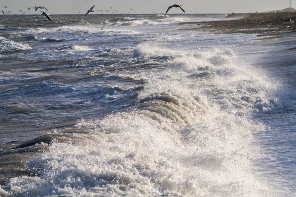 Olas Altas Invierno Hokkaido — Foto de Stock