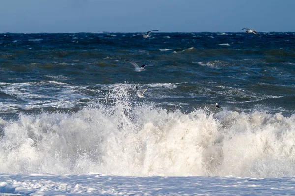 Olas Altas Invierno Hokkaido — Foto de Stock