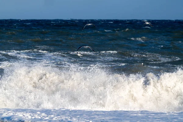 Olas Altas Invierno Hokkaido — Foto de Stock