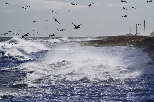 Ψηλά Κύματα Χειμώνα Hokkaido — Φωτογραφία Αρχείου