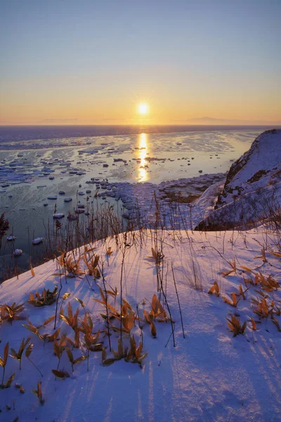 Ledová Tříšť Zimě Hokkaido — Stock fotografie