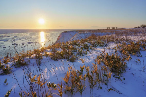 Ledová Tříšť Zimě Hokkaido — Stock fotografie