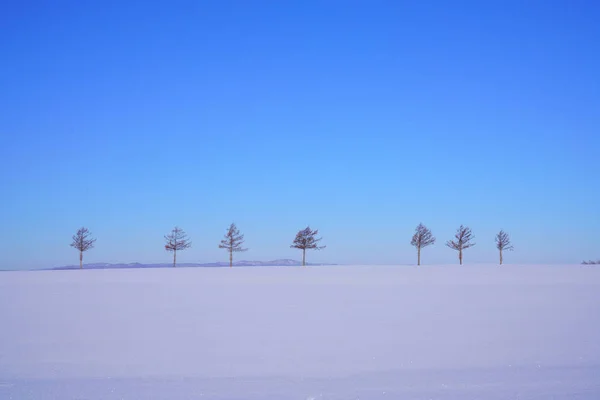Niebieskie Niebo Biały Śnieg Hokkaido — Zdjęcie stockowe