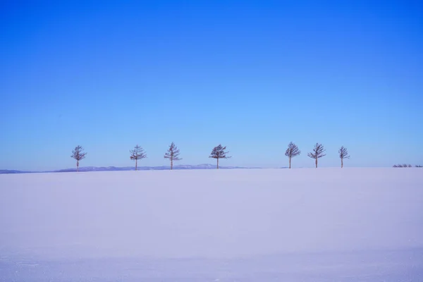 Cielo Azul Nieve Blanca Hokkaido — Foto de Stock