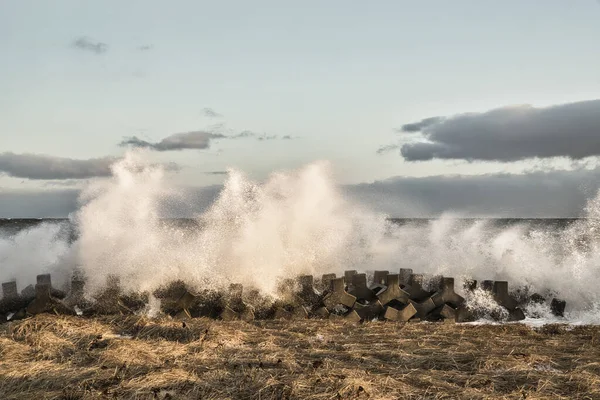 Θυελλώδης Καιρός Χειμώνα Hokkaido — Φωτογραφία Αρχείου