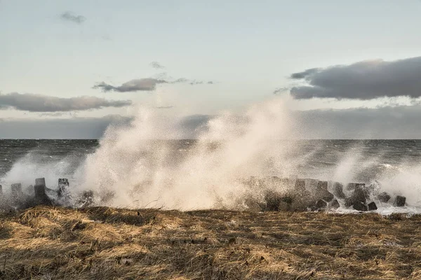 Viharos Időjárás Télen Hokkaido — Stock Fotó